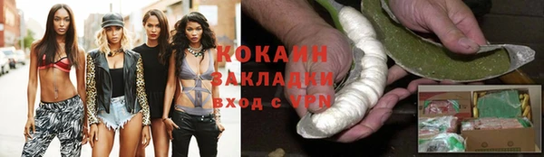гидра Ессентукская