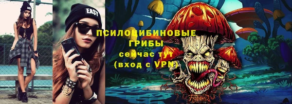 PSILOCYBIN Белоозёрский