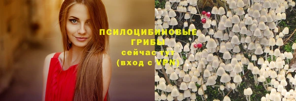 Альфа ПВП Баксан