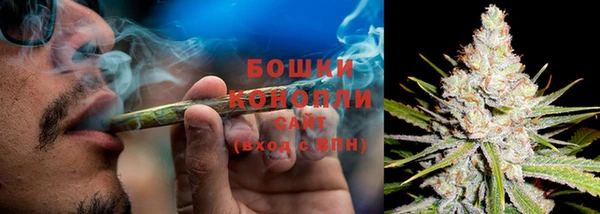индика Лихославль